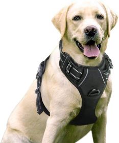 Dog Harness; No-Pull Pet Harness with 2 Leash Clips; Adjustable Soft Padded Dog Vest; Reflective No-Choke Pet Oxford Vest with Easy Control Handl (Color: Bright Pumpkin, size: X-Large)